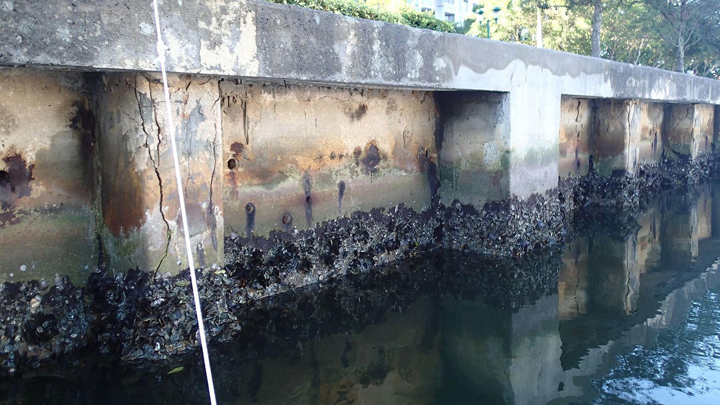 Aventura Sea wall Repair